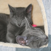 4 en 5 maanden: Eerste 2 maanden bij ons